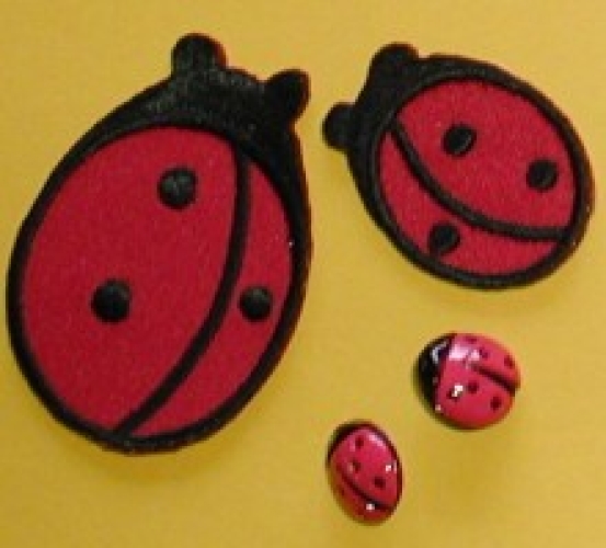 application "ladybug"