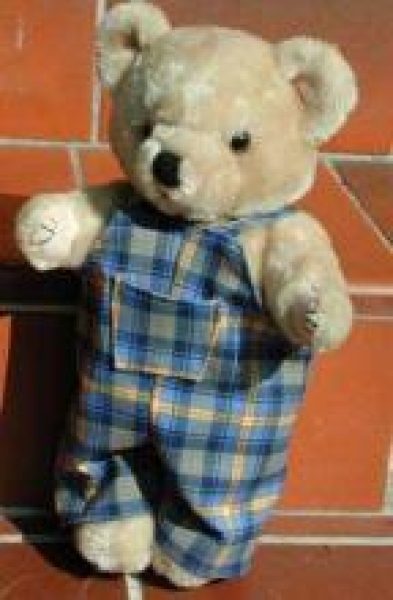 pattern teddy overall